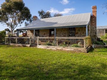 Horses Lifestyle Investment