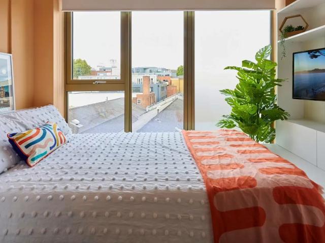 Host View Studios, London Student Accommodation | Amber