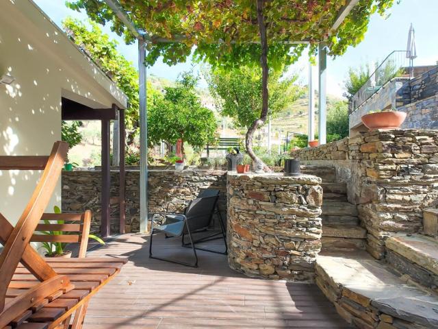 Hóspedes lucrativos do Vale do Douro | 7 unidades, piscina e vinhedo