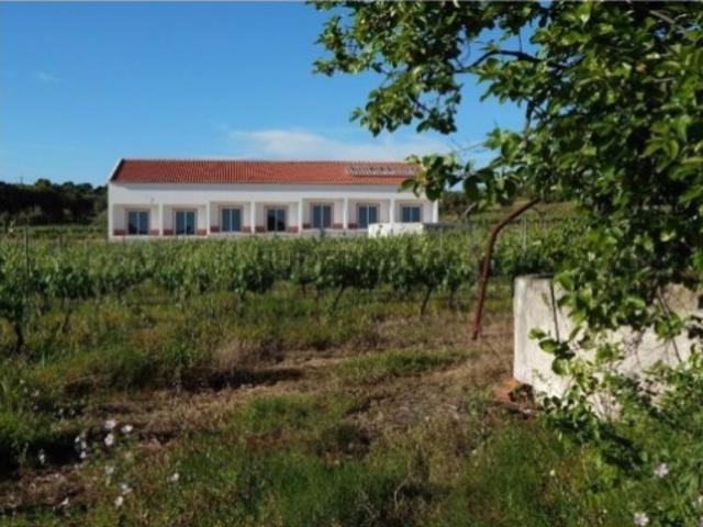 Hotel, Guest e Wine House próximo do Alqueva