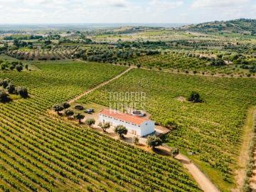 Vila de Frades, Concelho de Vidigueira, Distrito de Beja