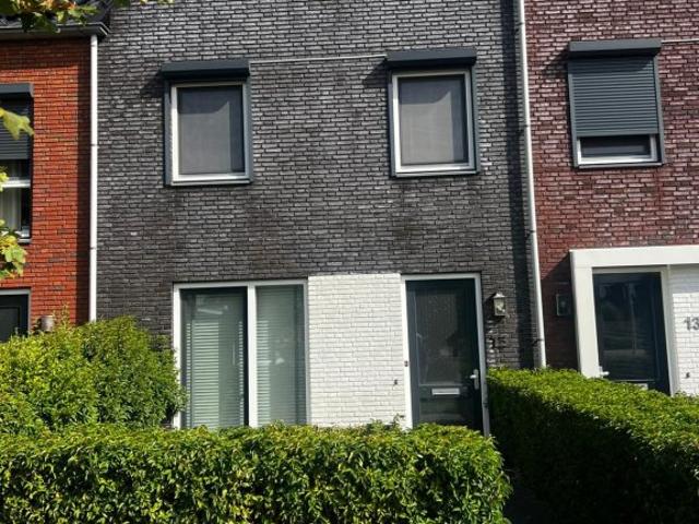 Houtblazerspad, Oud Beijerland