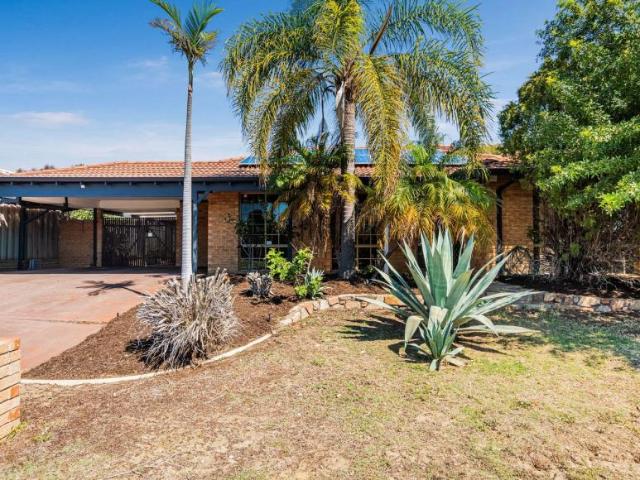 House 4 Bedroom For Rent Connolly WA ES105971531