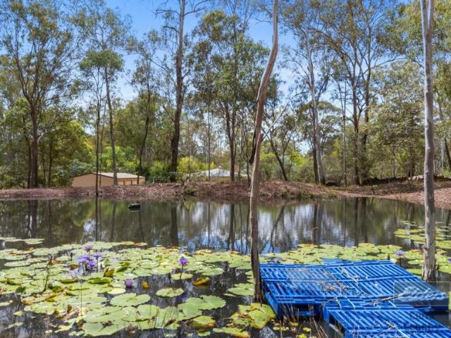 House 4 Bedroom For Rent Curra QLD ES105935843