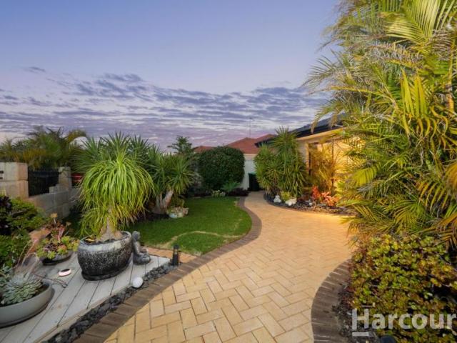 House 4 Bedroom For Rent Currambine WA ES106003412