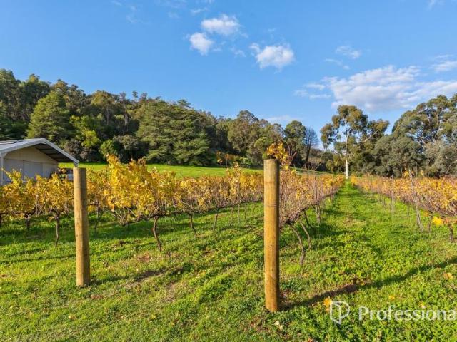 House 4 Bedroom For Rent Bickley WA ES105972739