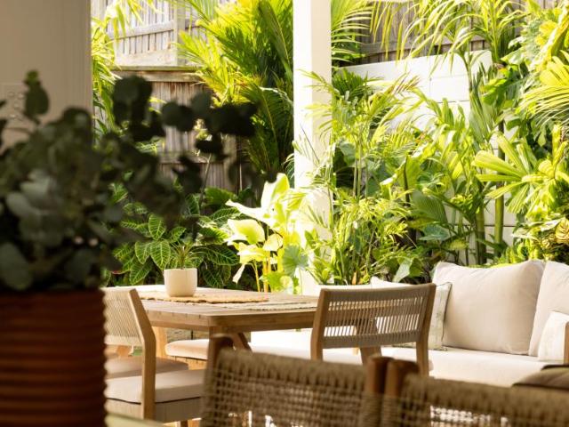 House 4 Bedroom For Rent Palmwoods QLD 1 ELS105075275