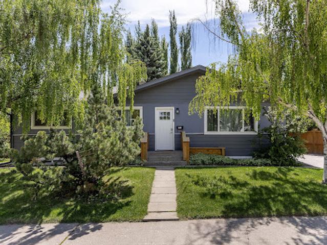 Contemporary house with garden and terrace