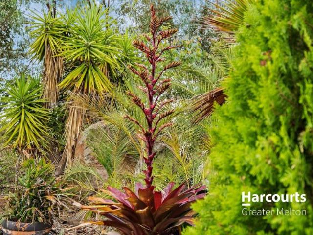 House 6 Bedroom For Rent Hopetoun Park VIC ES106145207
