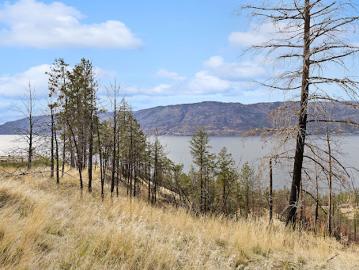Central Okanagan - Garden
