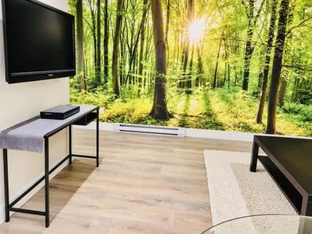 House 1 Bedroom For Rent Surrey BC 1999 ES105643486