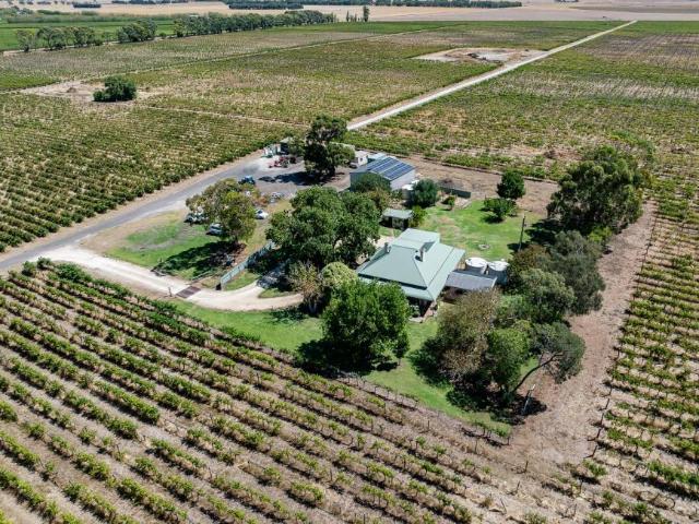 House 3 Bedroom For Rent Coonawarra SA 1195000 ES102631518