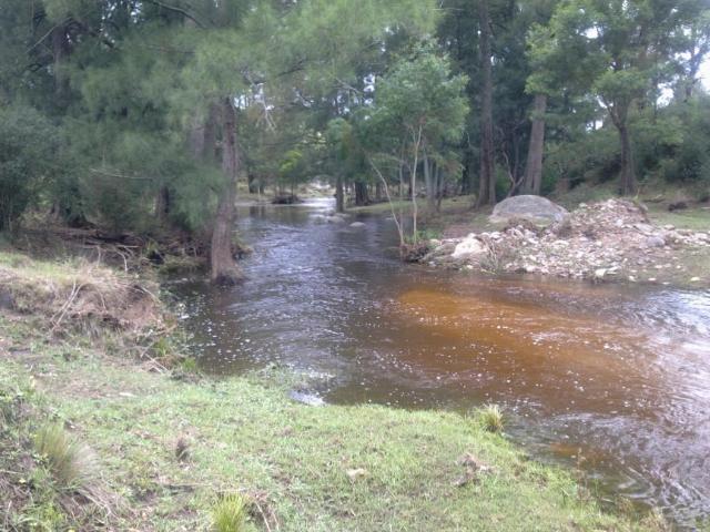 House 3 Bedroom For Rent BROGO NSW 1450000 ES104955590