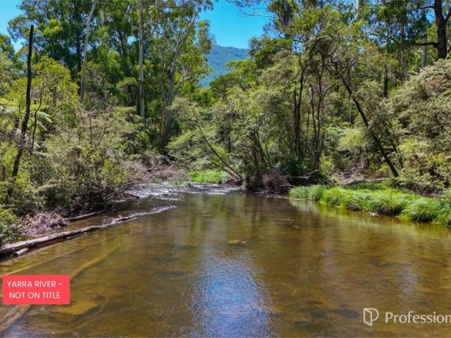 House 3 Bedroom For Rent East Warburton VIC ES105971804