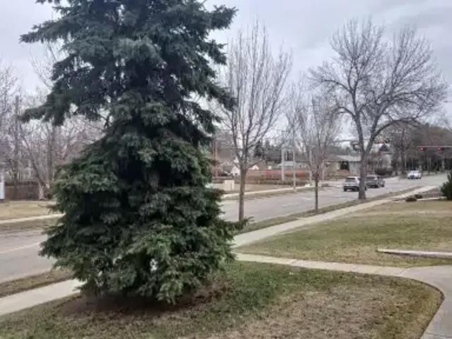 House 3 Bedroom For Rent Edmonton AB 2250 ES104401626