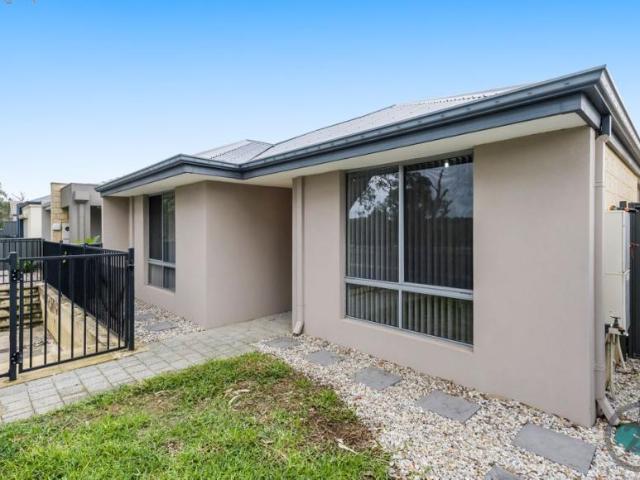 House 3 Bedroom For Rent Lakelands, WA ES103342582