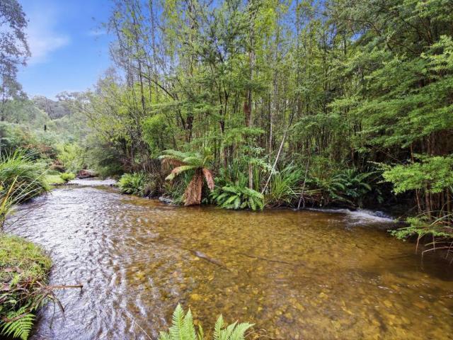 House 3 Bedroom For Rent Marysville VIC ES105972829