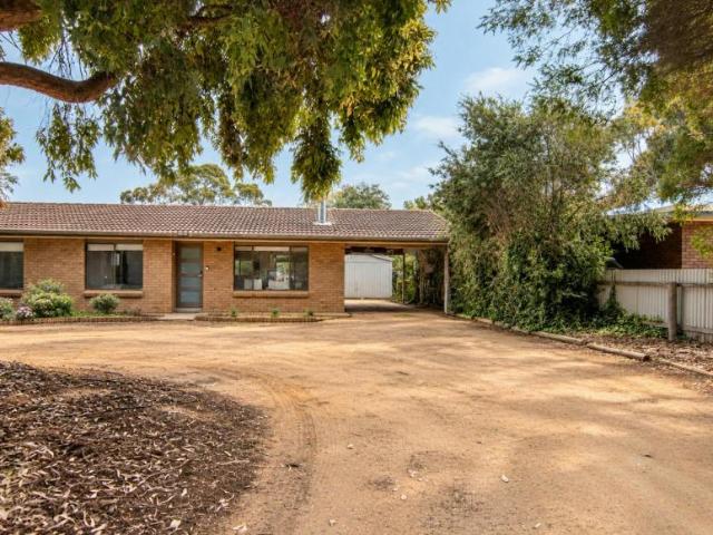 House 3 Bedroom For Rent Naracoorte SA 485000 ES105932298