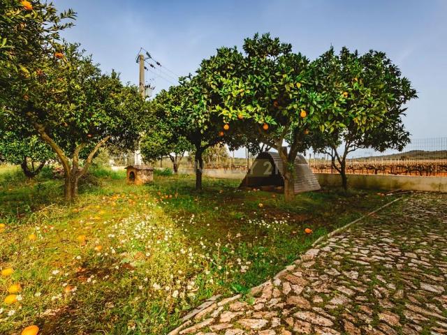 House T3 in Arcos, Estremoz