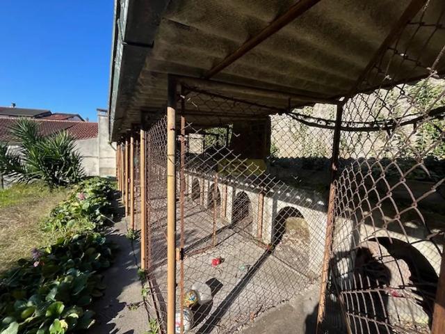 House T14 in Oliveira, São Paio e São Sebastião, Guimarães