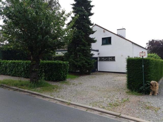 House to rent: Dreve du prophete 26, 7000 Mons on Realo