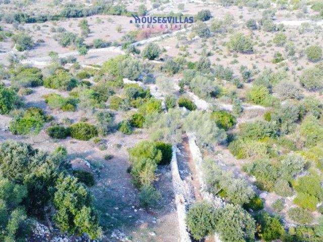 House&Villas Real Estate propone in vendita caseggiati con t. 350m² Avola