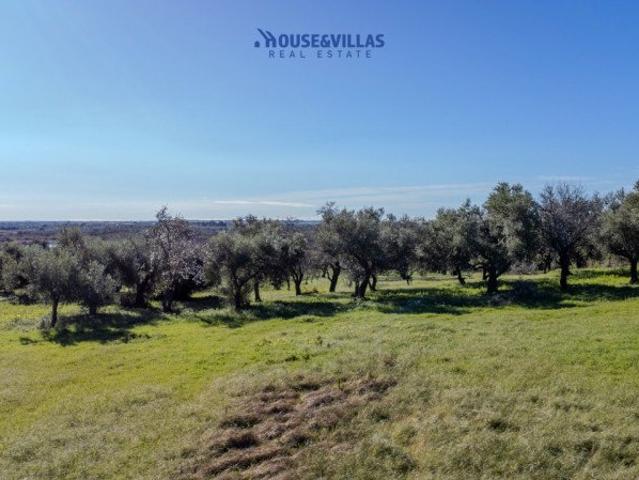 House&Villas Real Estate propone in vendita una proprietà es. 600m² Noto