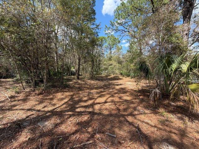 house with 1 bedroom, Crystal River FL DS100973519
