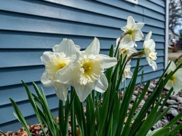 house with 2 bedroom, Wareham MA DS103441490