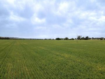 Booborowie, Northern Areas, South Australia