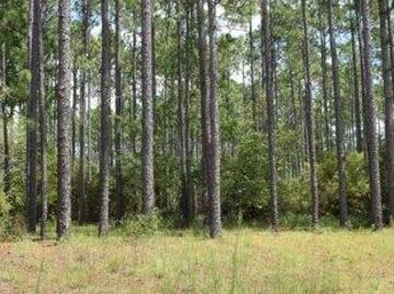 house with 3 bedroom, Lucedale MS DS103501752
