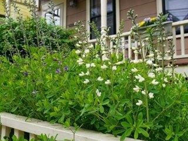 house with 3 bedroom, Somerville MA ES105352546