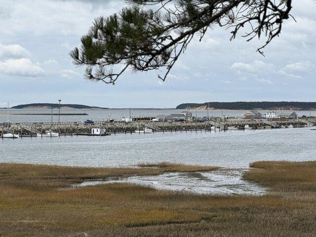 house with 4 bedroom, Wellfleet MA ES104946942