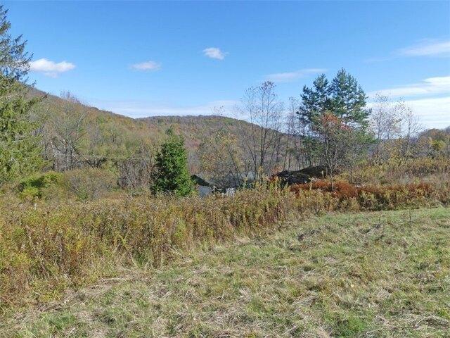 house with 4 bedroom, Andes NY ES105289765