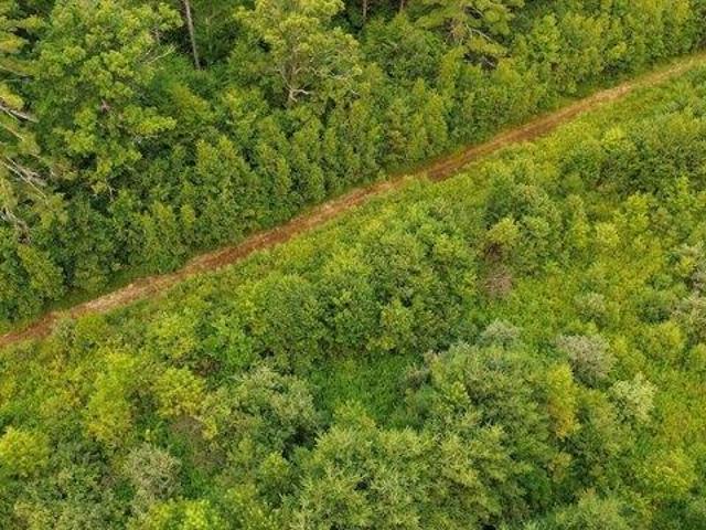 house with 4 bedroom, Farmington NH ES105653127
