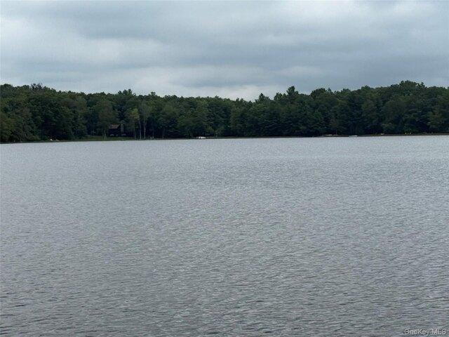 house with 4 bedroom, Highland Lake NY ES105287352