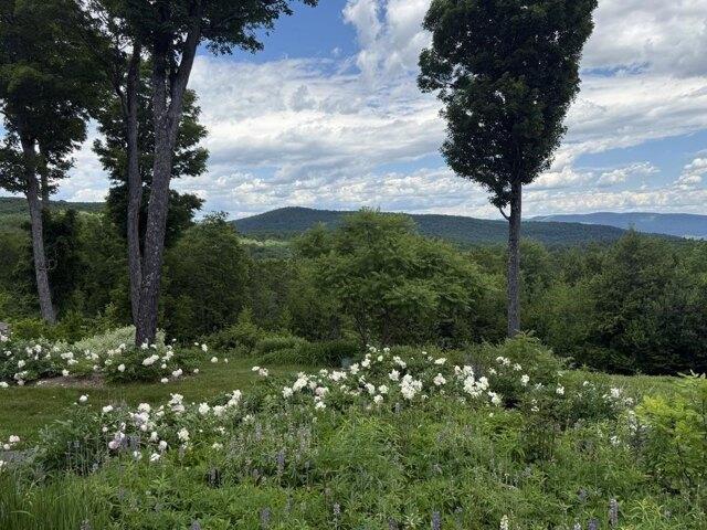 house with 4 bedroom, Jamaica VT ES104832059