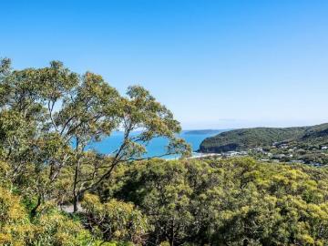 Tuggerah Lake, Jilliby, Wyong Region, Snapper Island
