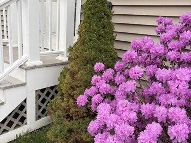 house with 4 bedroom, Quincy MA ES105400199