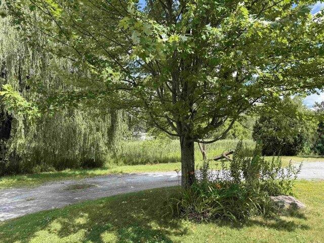 house with 5 bedroom, Middlebury VT ES105537241