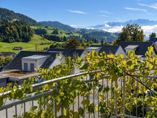 House with 7.5 rooms on sale in Gibswil 230 m² | dreamo. Ch