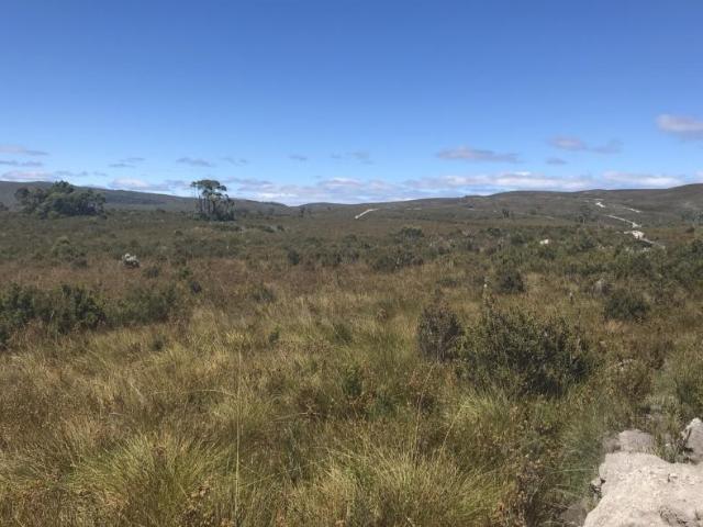House ZEEHAN TAS 104955439