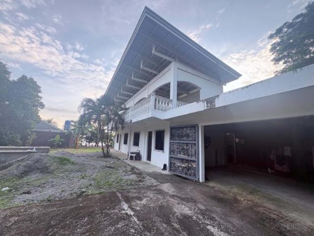 House and Lot for sale in Siaton