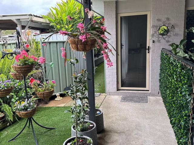 house at 1/25 Myall Street Cooroy, QLD 4563