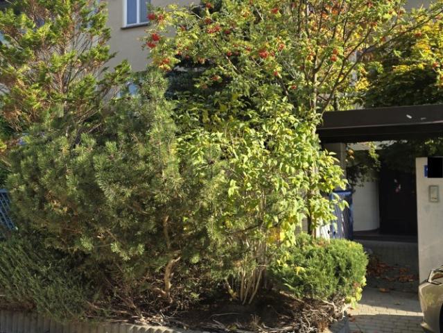 house at Warszawa, Ursynów, Kabaty, Poland