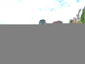 Rodborough Common Stroud, GL5 - Fireplace