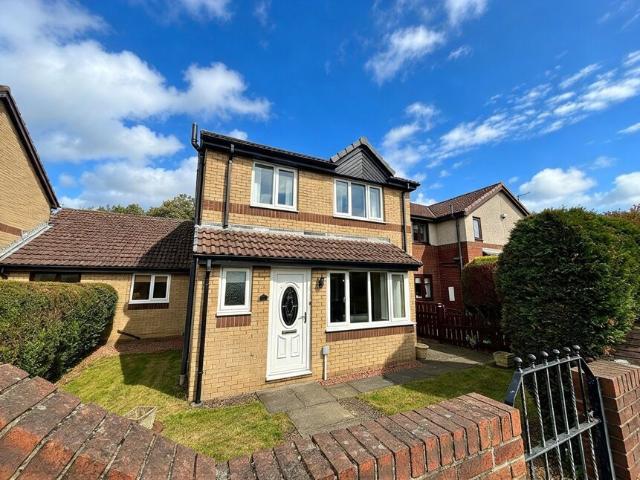 House at Freeman Road, Newcastle upon Tyne