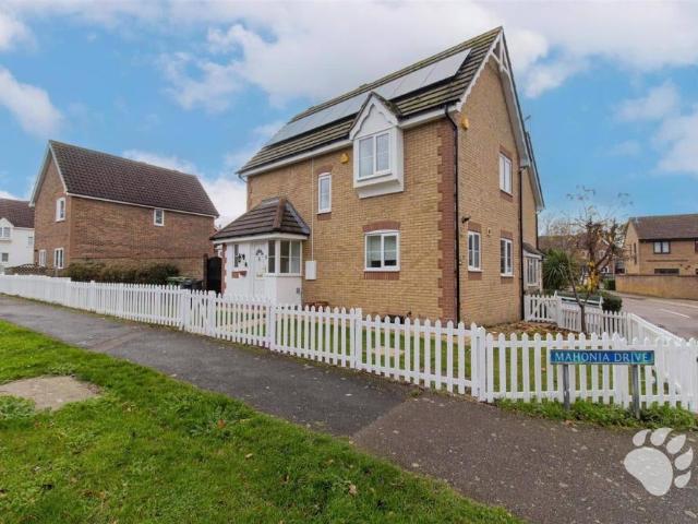 House at Mahonia Drive, Basildon