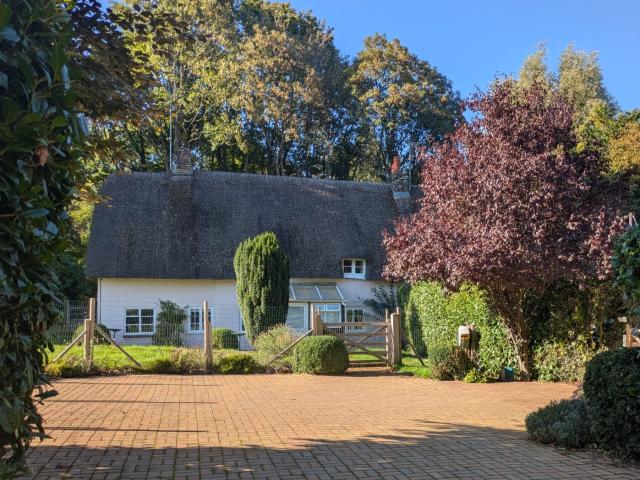 House at Rockbourne Road, New Forest