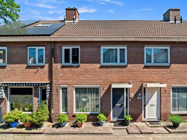house at Rotterdam